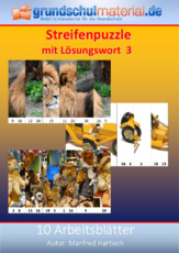 Streifenpuzzle mit Lösungswort_3.pdf